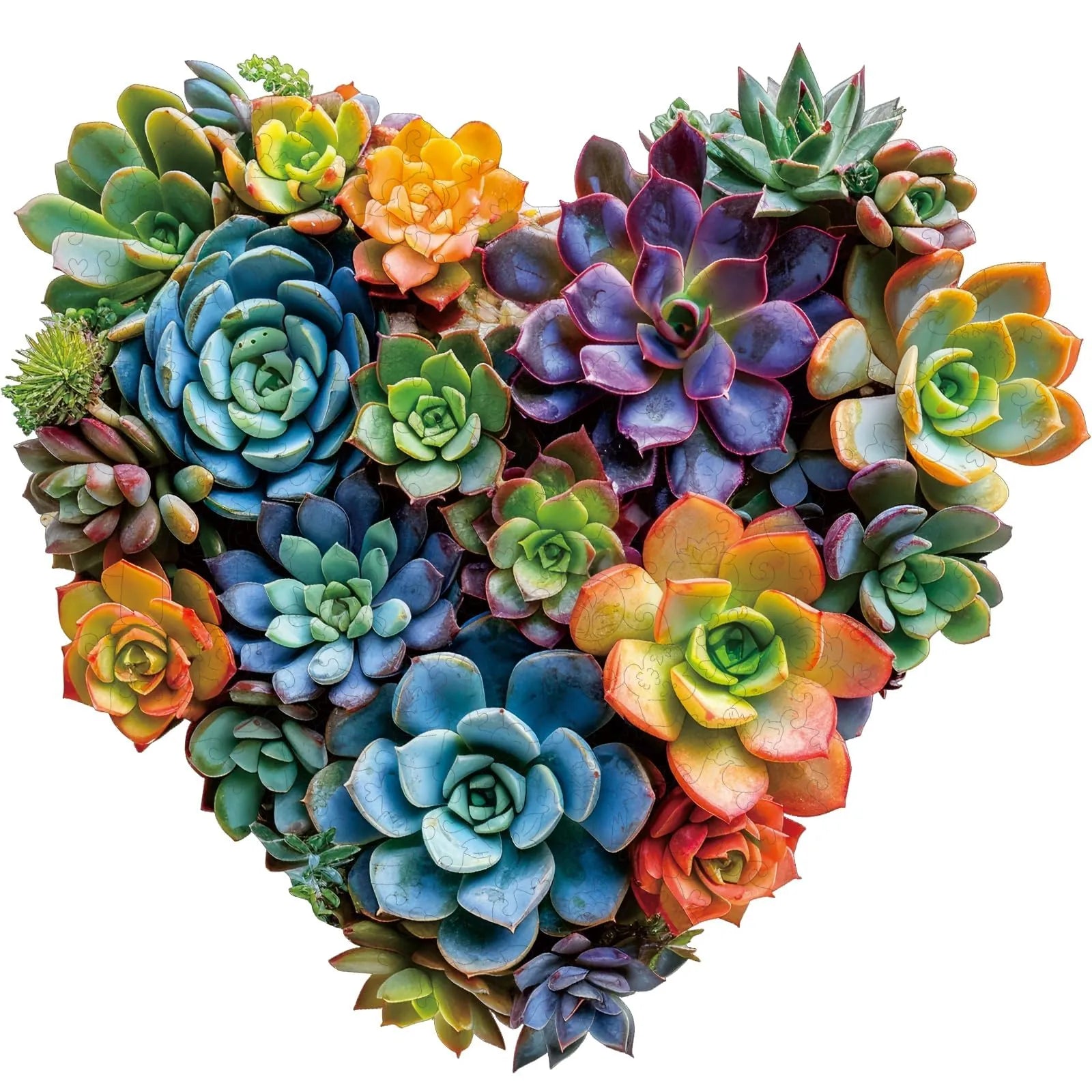 Heart succulent wooden jigsaw puzzle for adults with unique shaped pieces