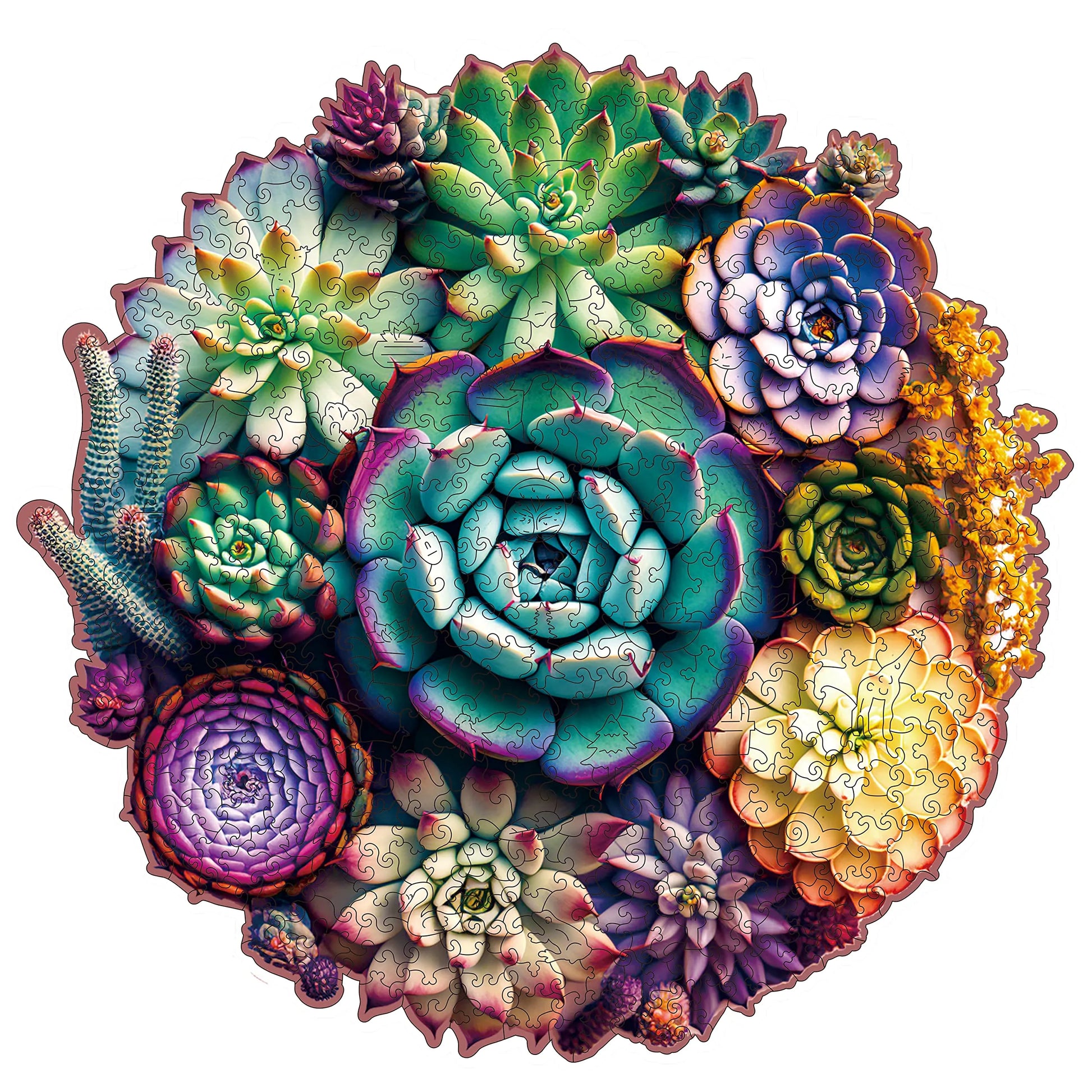 Succulent plants wooden jigsaw puzzle for adults with unique shaped pieces