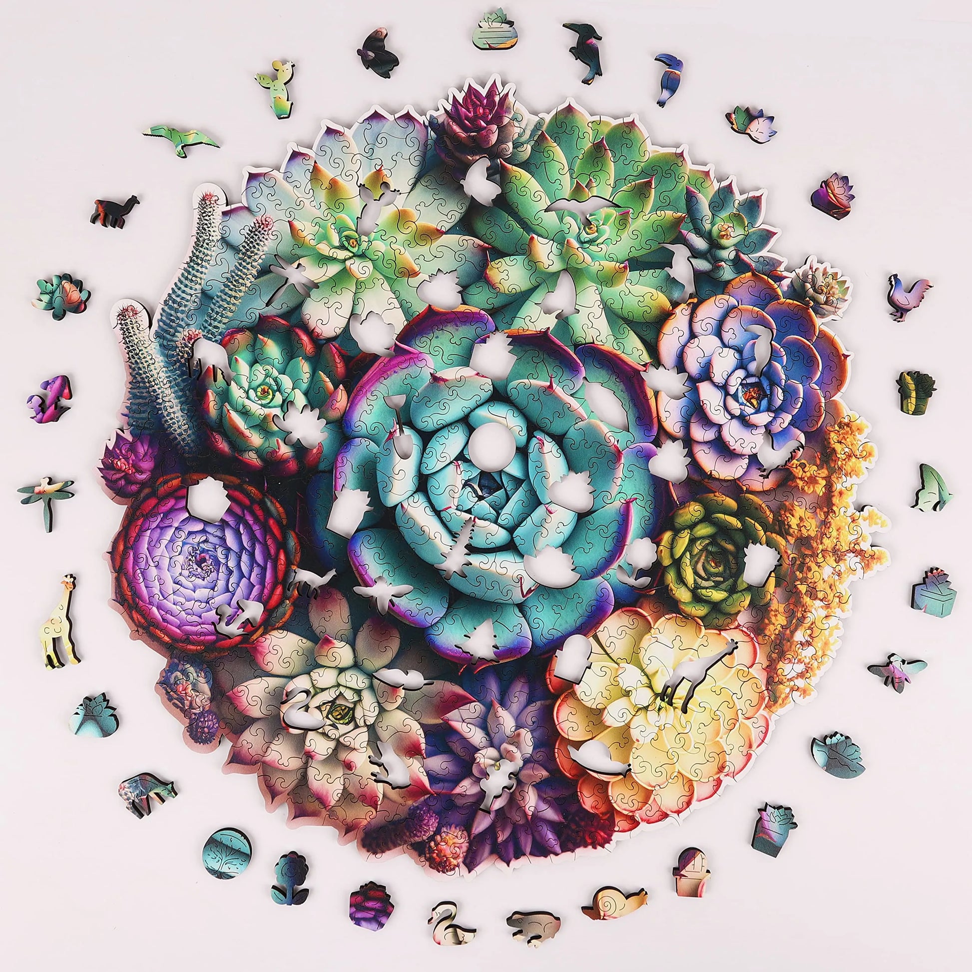 Wooden jigsaw puzzle gift – succulent plants design