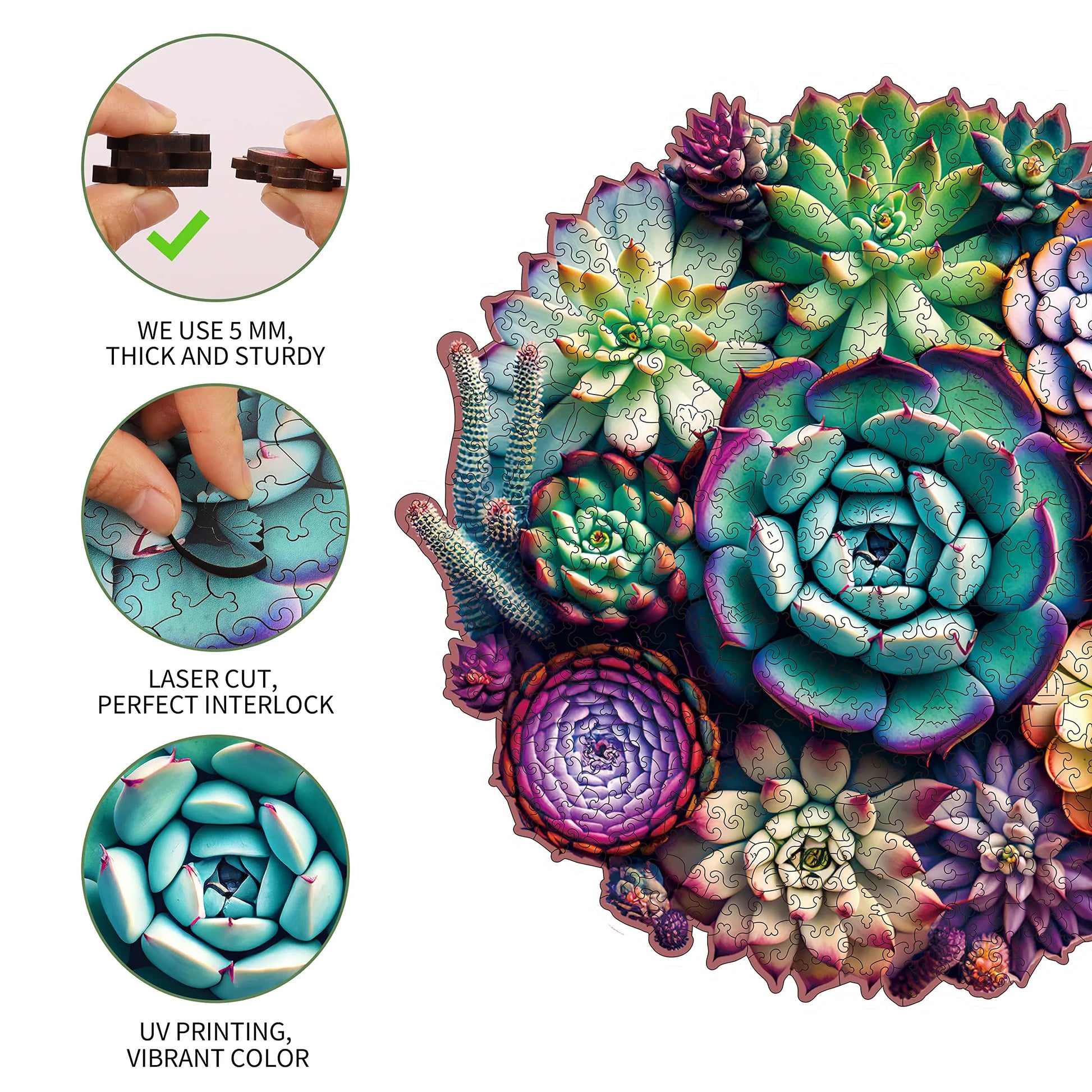 Whimsical wooden jigsaw puzzle – succulent plants design