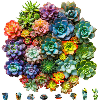 Succulent Plants II wooden jigsaw puzzle for adults with unique shaped pieces
